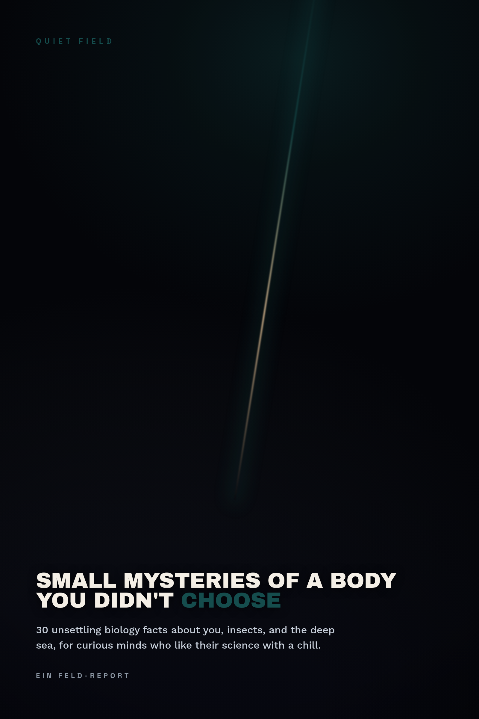 Small Mysteries of a Body You Didn't Choose